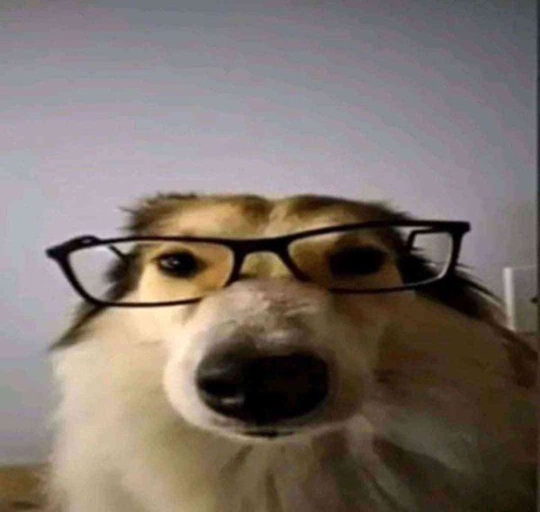 profile-picture